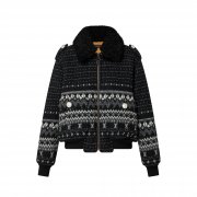 Louis Vuitton Alpine Jacquard Zip-Up Jacket - Women - Ready-to-Wear 1AALAP