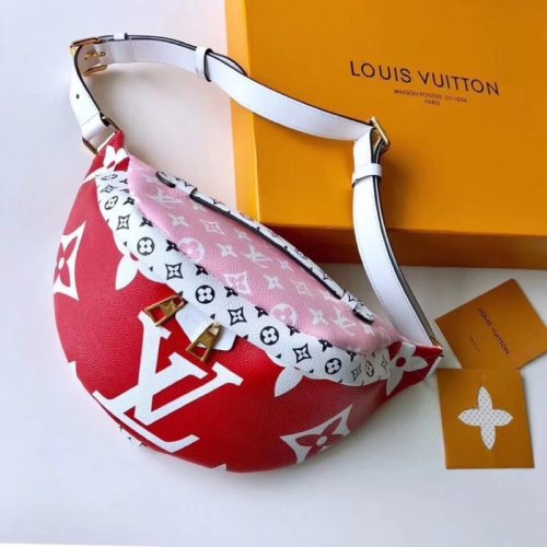 Louis Vuitton Canvas Ladies Bumbag M43644