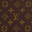 Louis Vuitton Dog Carrier 40 Monogram Canvas M42024 - Personalisation M42024