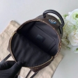 Louis Vuitton Monogram Canvas Palm Springs Backpack MINI M44367