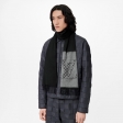 Louis Vuitton Damier Archives Jhelam Scarf in Grey - Men Accessories M77037