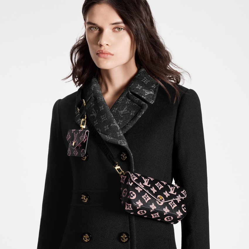 Louis Vuitton Félicie Strap & Go - Women - Small Leather Goods M81471