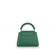 Louis Vuitton Capucines Mini Ostrich Leather in Green - Women - Handbags N93483