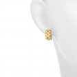Louis Vuitton Nanogram Earrings in Gold - Accessories M00397