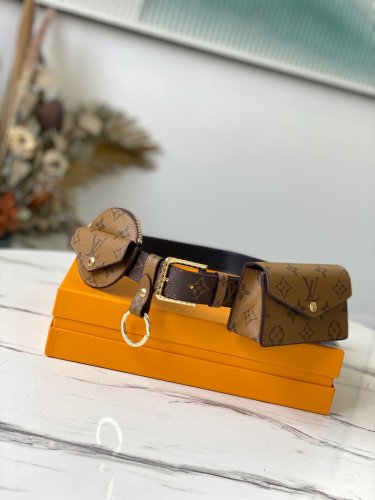 Louis Vuitton Daily Multipocket 30mm Belt Monogram in Brown - Accessories M0345U