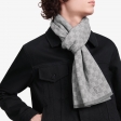 Louis Vuitton Petit Damier Scarf in Grey - Accessories M70517
