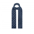 Louis Vuitton Damier Gradient Winter Stole in Blue - Accessories M76570