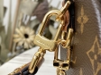 Louis Vuitton Papillon Trunk Women Monogram Canvas - Handbags M57835