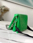 Louis Vuitton Lambskin Coussin PM M57936 LV Motion Green