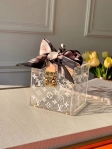 Louis Vuitton Women Plexiglass Jewelry Cube Scott Box in Transparent GI0481