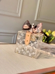 Louis Vuitton Women Plexiglass Jewelry Cube Scott Box in Transparent GI0481