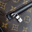 Louis Vuitton Monogram Macassar Canvas District MM M40934