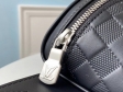 Louis Vuitton Damier Infini Leather Campus Bumbag N40298 Onyx