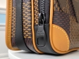 Louis Vuitton X Nigo Nano Amazone Messenger Small Bag N40357