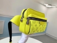 Louis Vuitton Taigarama Outdoor Bumbag Men M30251 Jaune