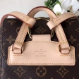 Louis Vuitton Monogram Canvas Montsouris M43431