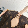 Louis Vuitton Monogram Canvas Rivoli MM handbag VVN M44546