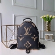 Louis Vuitton LV Jungle Monogram Giant Palm Springs PM backpack M44718