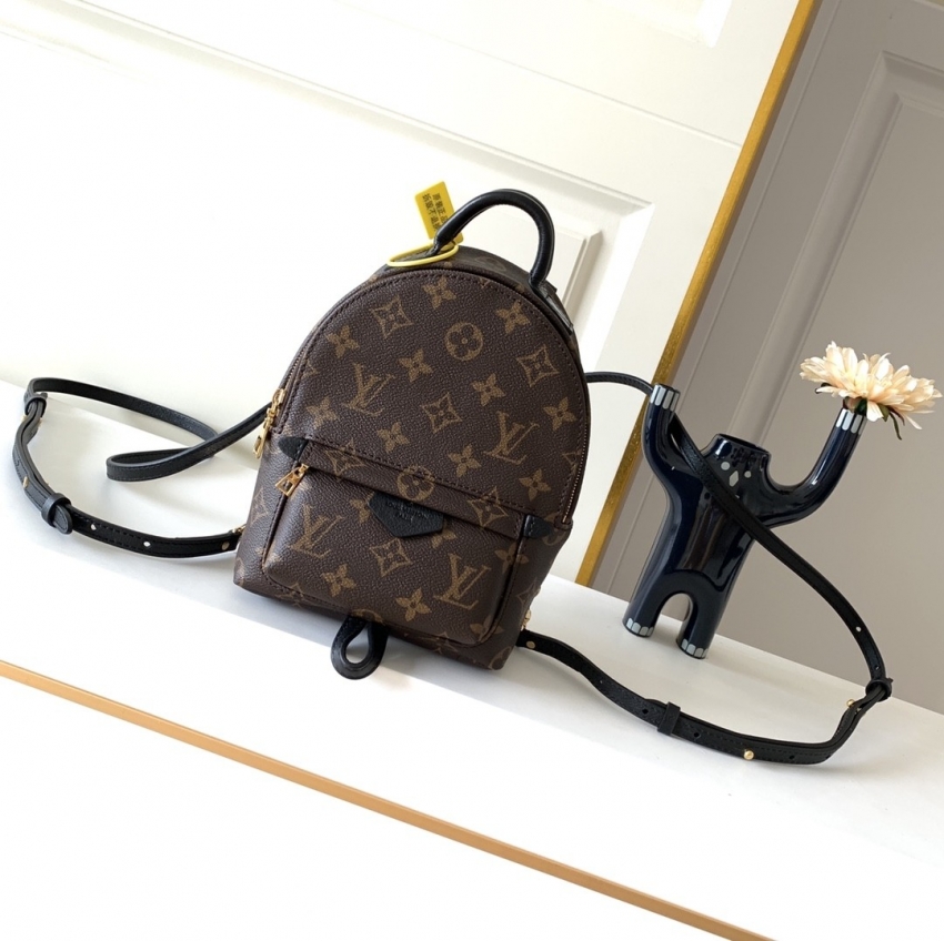 Louis Vuitton Palm Springs Mini Monogram in Brown - Women - Handbags M44873