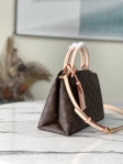 Louis Vuitton Petit Palais Monogram in Brown - Women - Handbags M45900