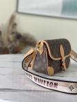 Louis Vuitton Diane Monogram in Brown - Women - Handbags M45985
