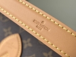 Louis Vuitton Diane Monogram in Brown - Women - Handbags M45985
