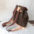 Louis Vuitton Monogram Canvas Montsouris Backpack M51135