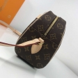 Louis Vuitton Monogram Canvas Ladies Purse Blois M51221