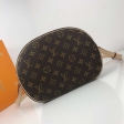 Louis Vuitton Monogram Canvas Ladies Purse Blois M51221