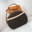Louis Vuitton Monogram Canvas Ladies Purse Blois M51221