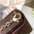 Louis Vuitton Monogram Felicie Chain Wallet GM M61276