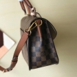 Louis Vuitton Damier Ebene Canvas Trendy Crossbody N40147 Venus