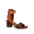 Louis Vuitton Passenger Sandal in Brown - Shoes 1A64NN