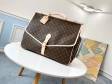 Louis Vuitton Monogram Canvas Hunting Bag M41140