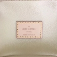 Louis Vuitton Monogram Canvas NICE NANO M44936