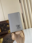 Louis Vuitton Pocket Organizer LV AEROGRAM in Grey - Men - Small Leather Goods M81028