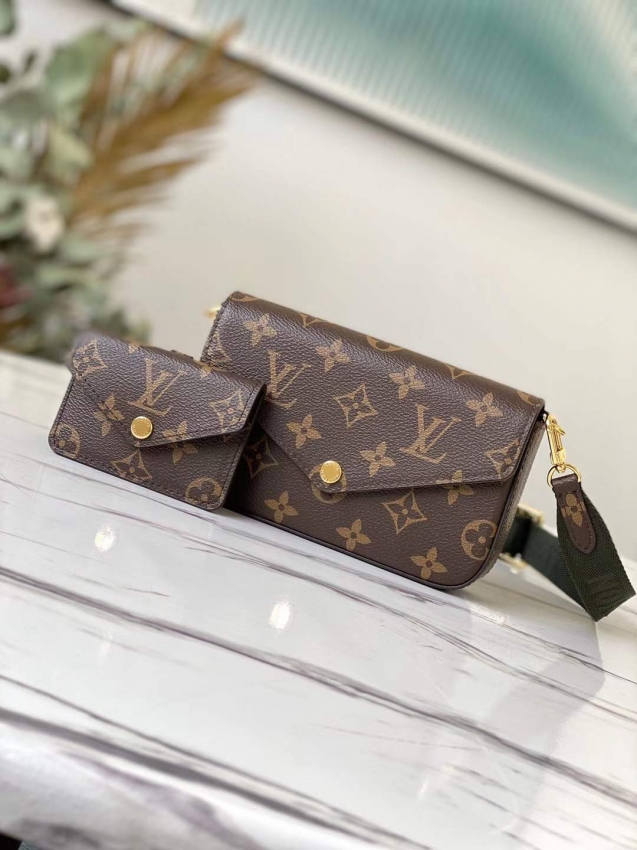 Louis Vuitton Monogram Félicie Strap & Go M80091