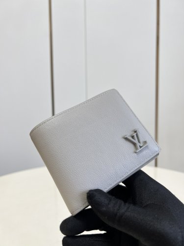 Louis Vuitton Wallet Multiple LV AEROGRAM in Grey - Men - Small Leather Goods M81026