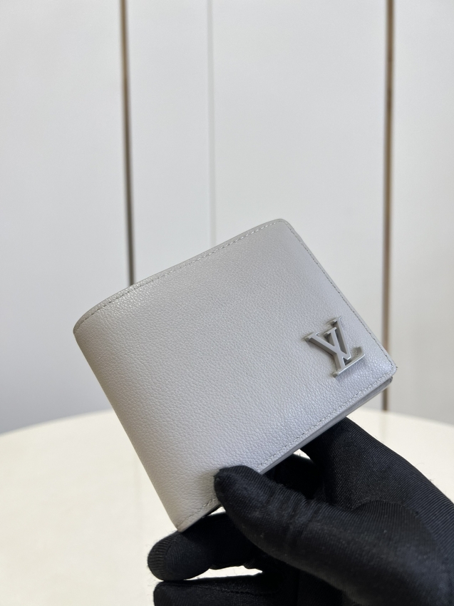 Louis Vuitton Wallet Multiple LV AEROGRAM in Grey - Men - Small Leather Goods M81026
