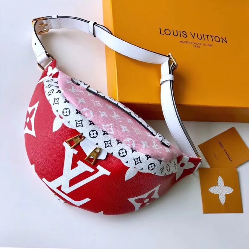 Louis Vuitton Canvas Ladies Bumbag M43644