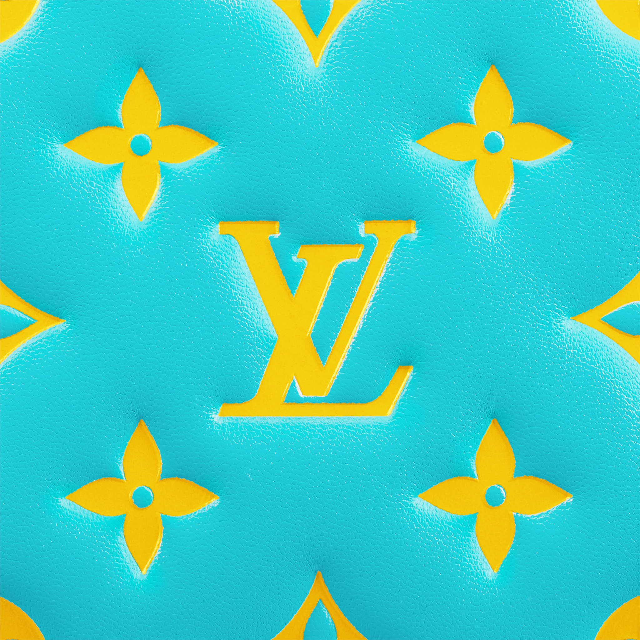 Louis Vuitton Coussin PM H27 Lambskin in Mint/Yellow - Handbags M58627