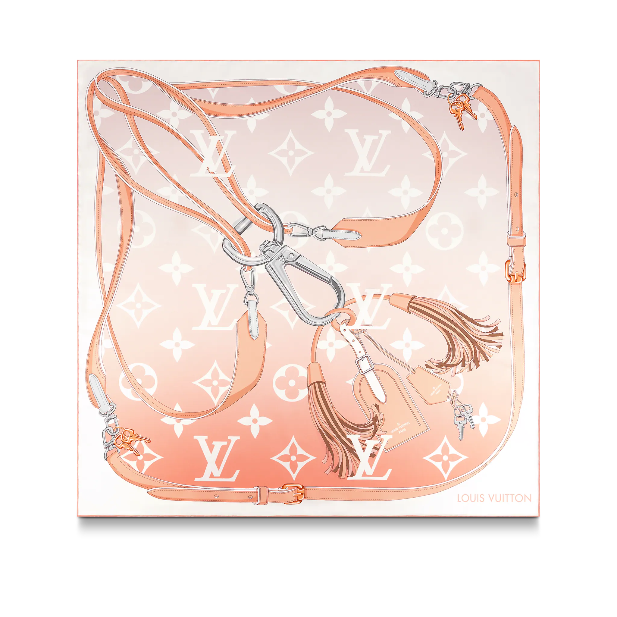 Louis Vuitton Monogram Gradient Square Women in Mist - Accessories M76776