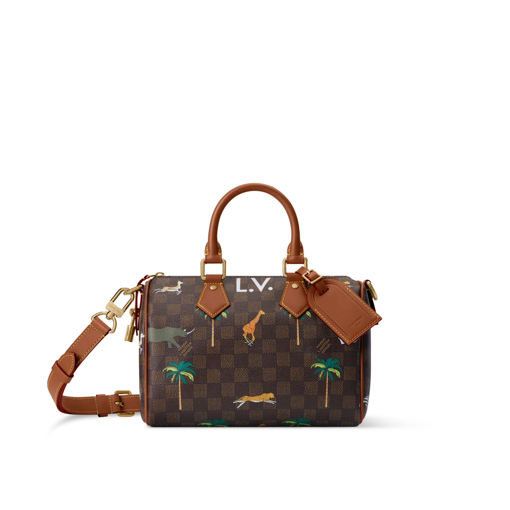 Louis Vuitton Speedy 25 Bandouliere x The Darjeeling Limited Damier Men's Bag N40857 Brown