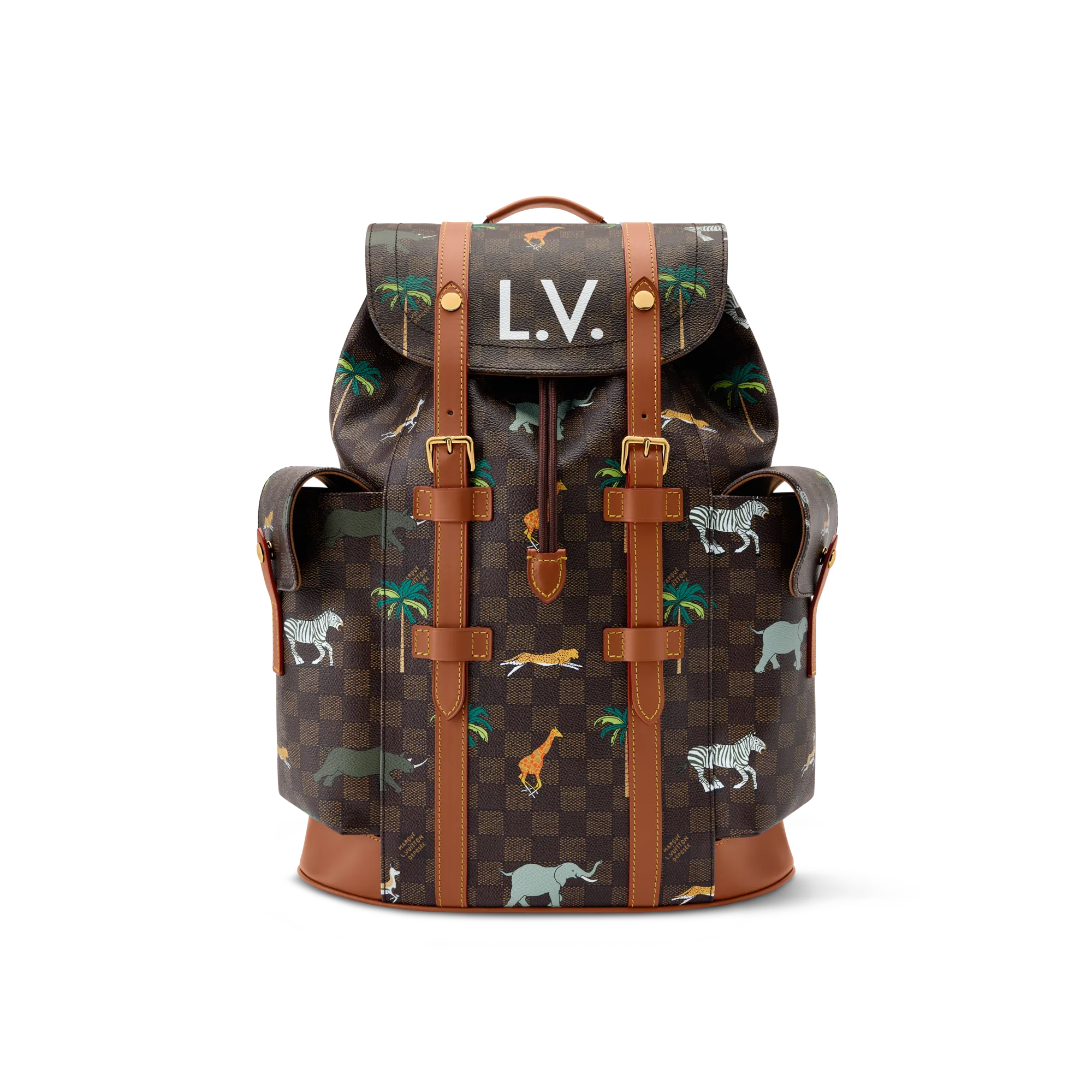 Louis Vuitton Christopher MM x The Darjeeling Limited Damier Men's Bag N40864 Brown