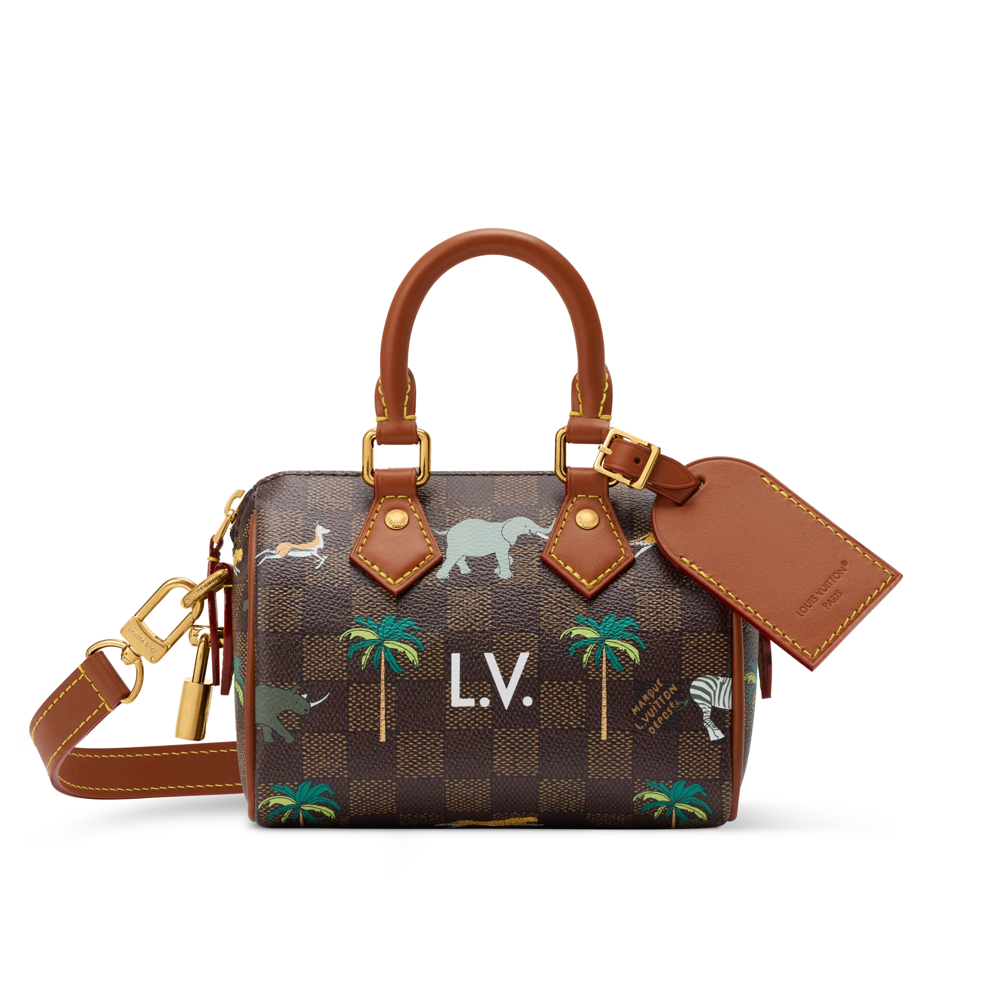 Louis Vuitton Speedy Bandouliere 18 x The Darjeeling Limited Damier - Men's Bags N40868 Brown