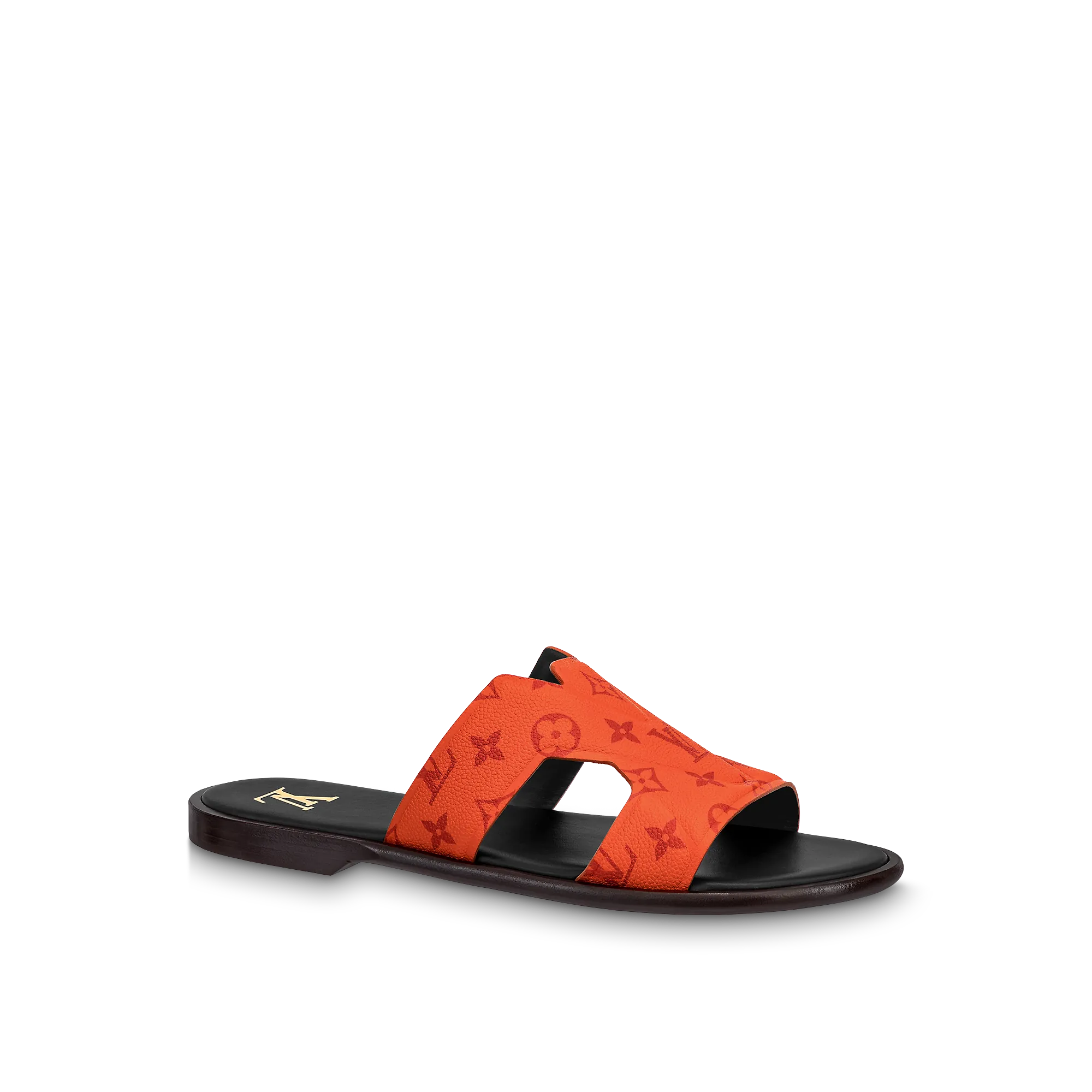 Louis Vuitton LV Oasis Mule - Men - Shoes 1AAND9