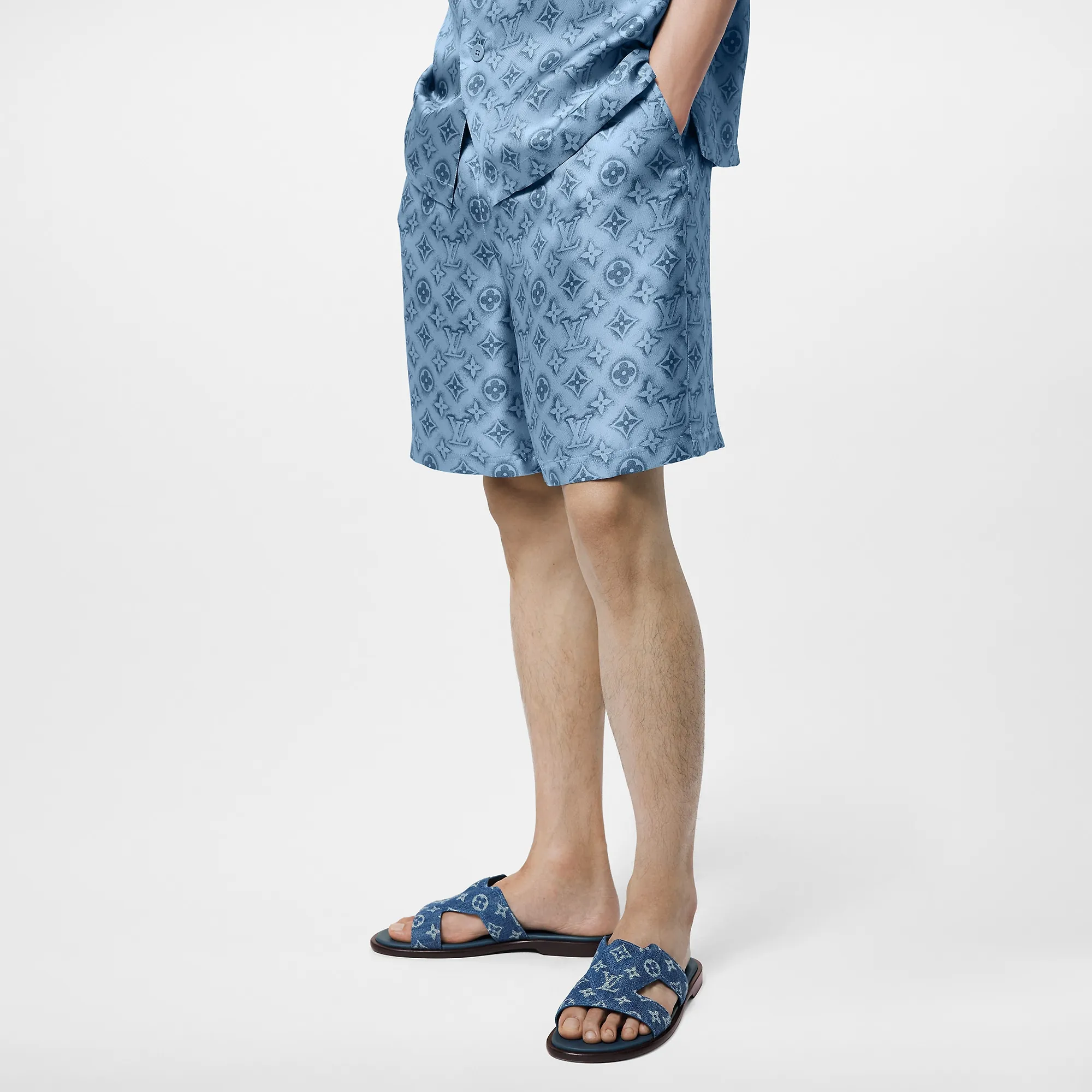 Louis Vuitton LV Oasis Mule - Men - Shoes 1AC69V