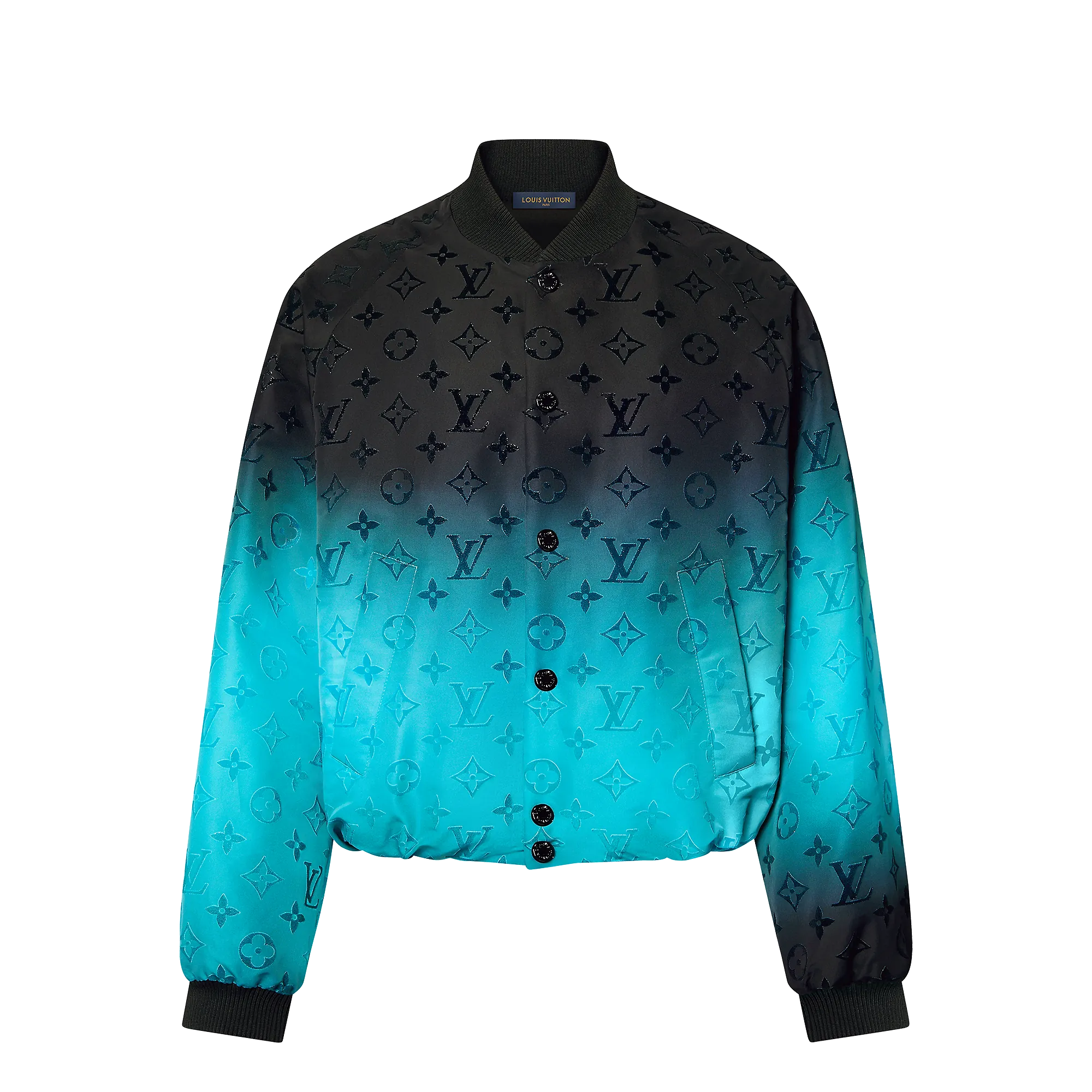 Louis Vuitton Monogram Flocked Nylon Bomber - Men - Ready-to-Wear 1AF917