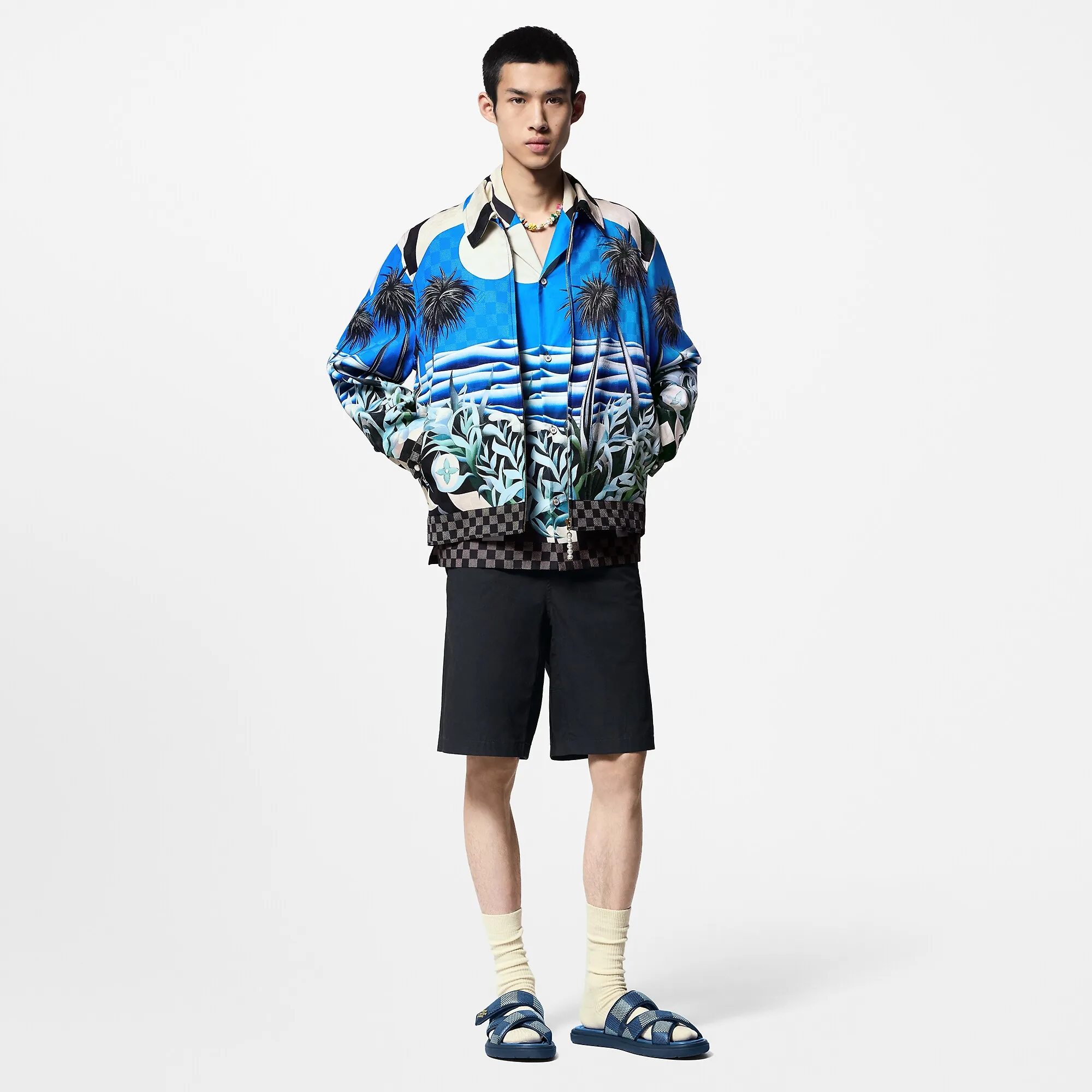 Louis Vuitton Printed Viscose Blouson - Men - Ready-to-Wear 1AFQCD