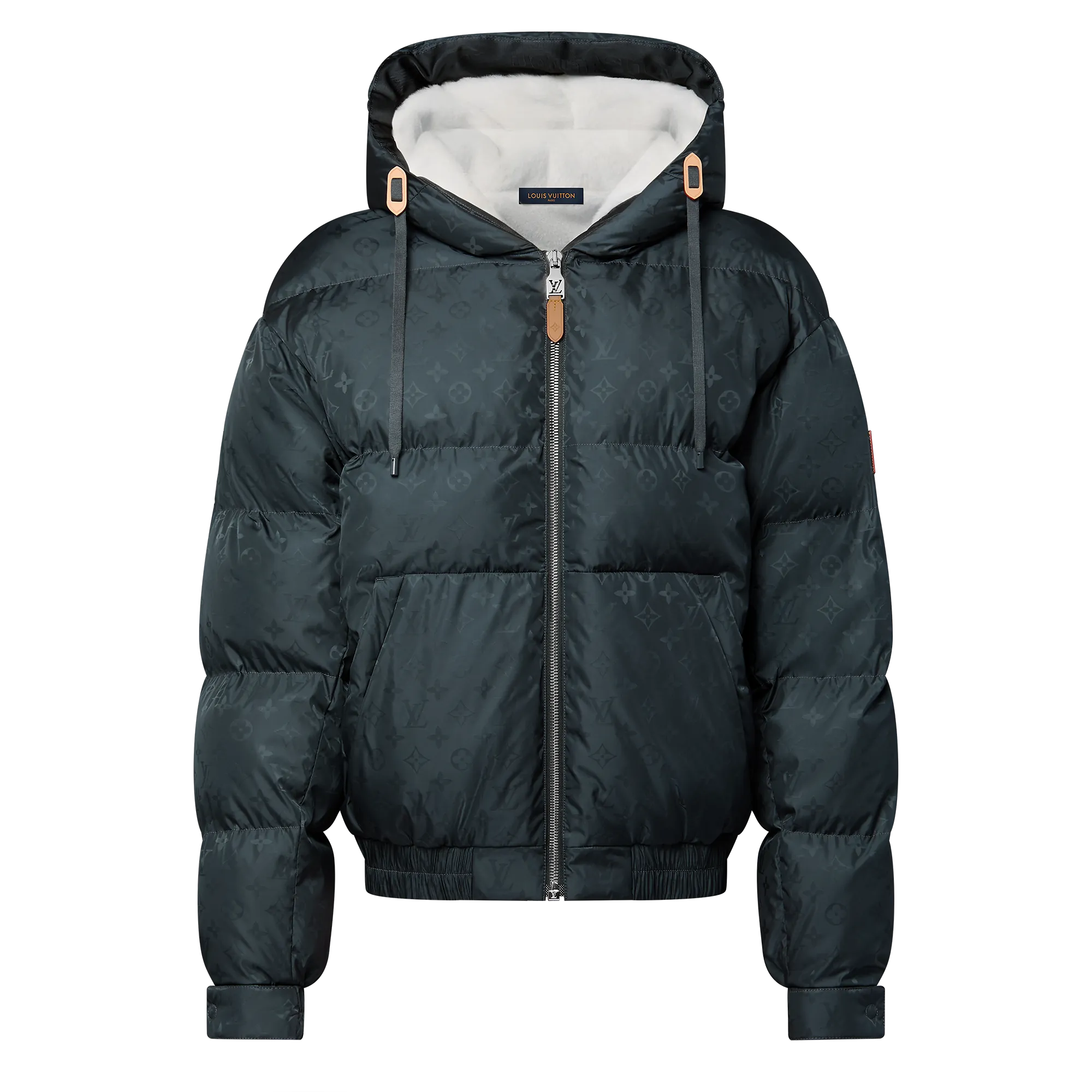 Louis Vuitton Monogram Down Jacket - Men - Ready - to - Wear 1AGIRP